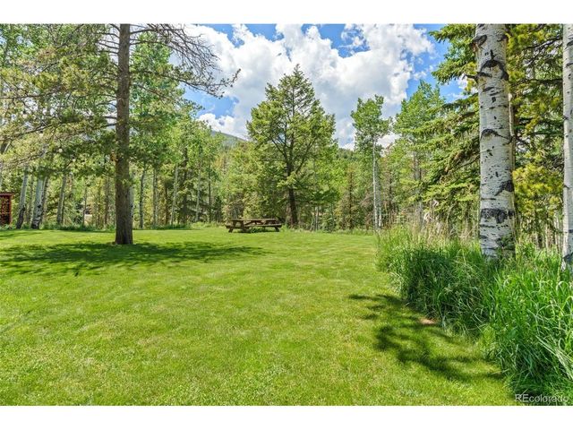 9030 Rex Ln, Conifer, CO 80433