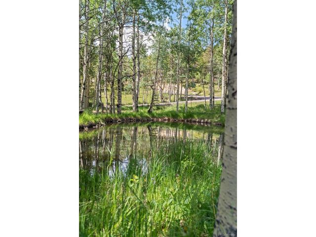9030 Rex Ln, Conifer, CO 80433