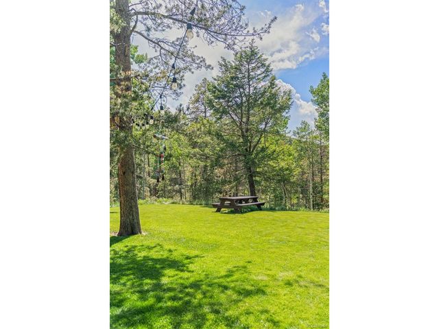 9030 Rex Ln, Conifer, CO 80433