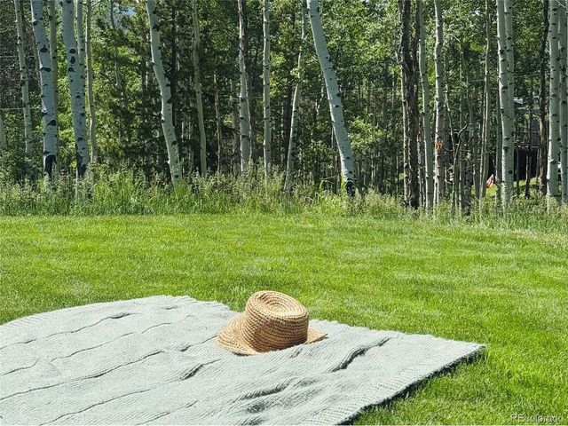 9030 Rex Ln, Conifer, CO 80433