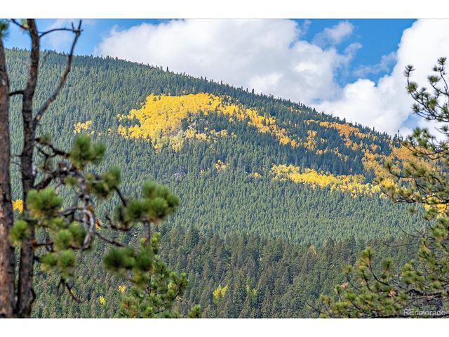 4346 County Road 43, Bailey, CO 80421