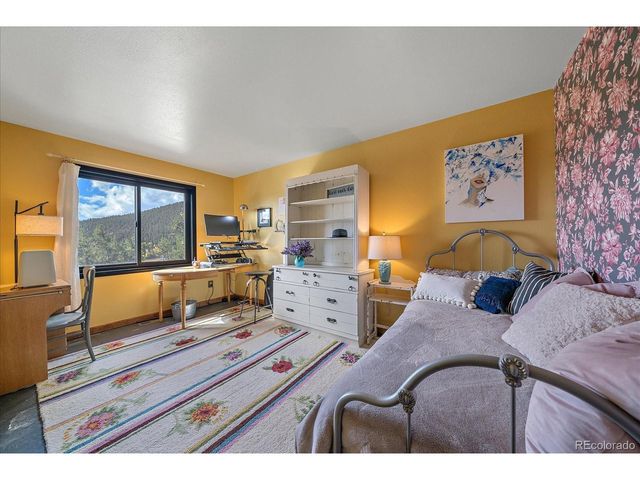 4346 County Road 43, Bailey, CO 80421