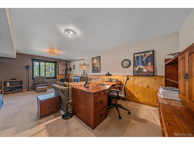 4346 County Road 43, Bailey, CO 80421