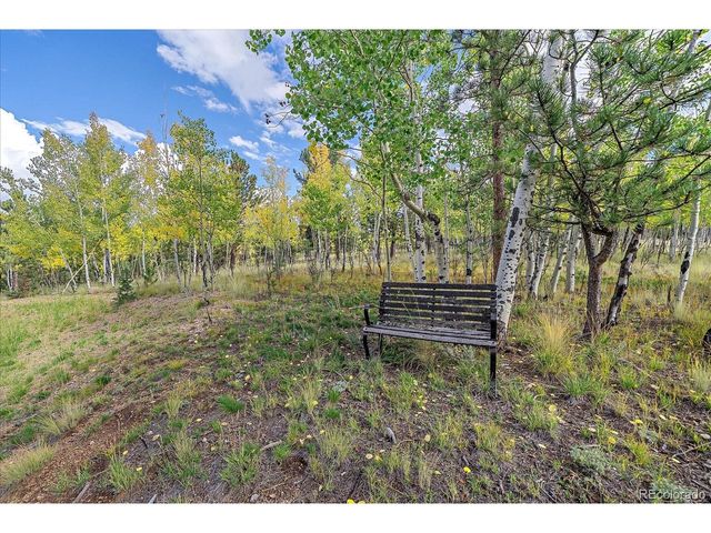 4346 County Road 43, Bailey, CO 80421
