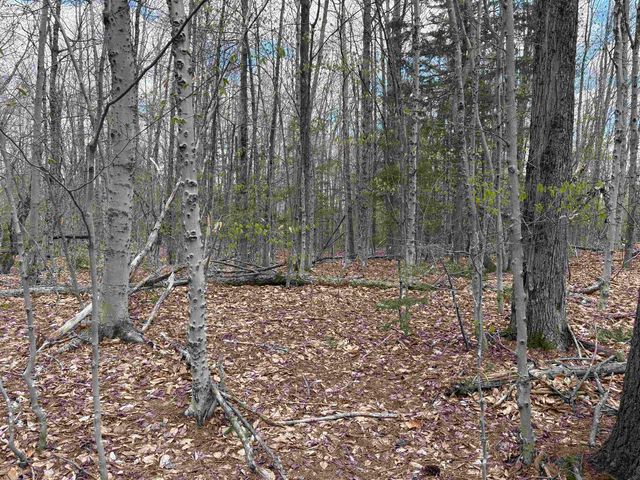 0 East Hill Road, Andover, VT 05143