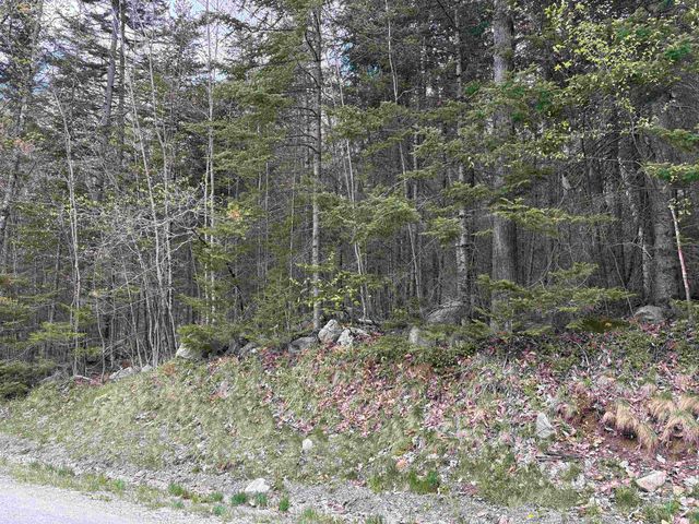 0 East Hill Road, Andover, VT 05143