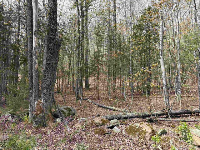 0 East Hill Road, Andover, VT 05143