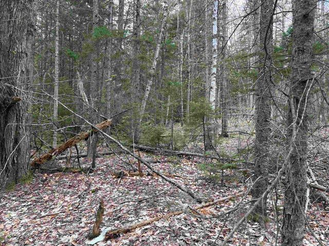 0 East Hill Road, Andover, VT 05143