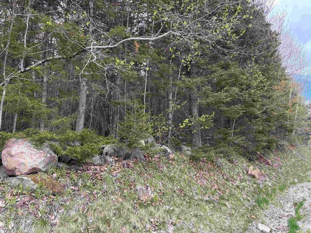 0 East Hill Road, Andover, VT 05143