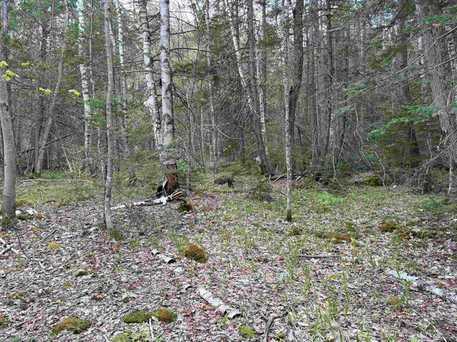 0 East Hill Road, Andover, VT 05143