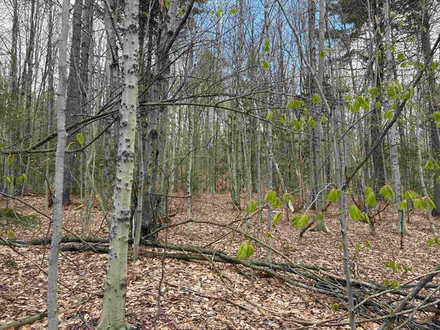 0 East Hill Road, Andover, VT 05143