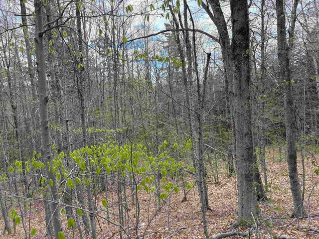 0 East Hill Road, Andover, VT 05143