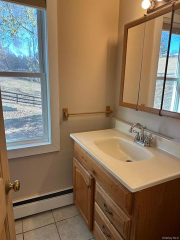 168 Pine Hill 1, Chester, NY 10918