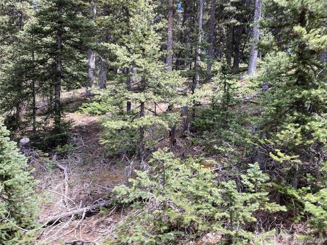 6614 Starkweather Rd, San Luis, CO 81152