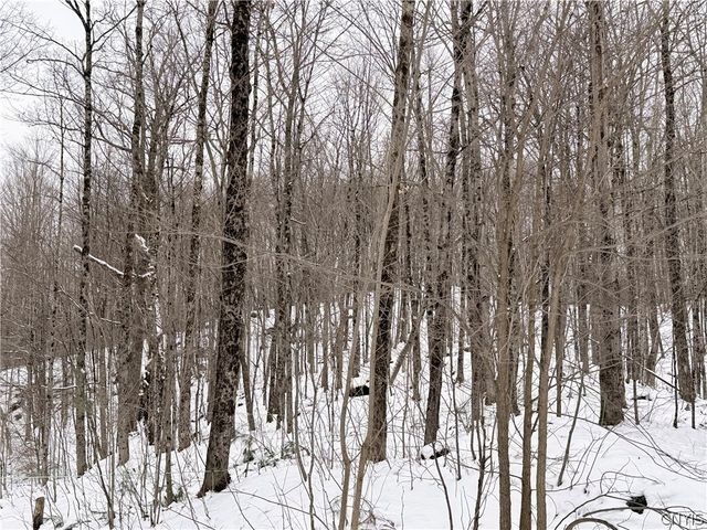 9689 Erie Canal Road, Croghan, NY 13327