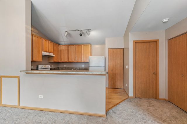 219 SILVERSTONE Drive 219, Carpentersville, IL 60110