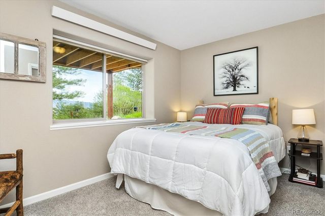 30460 Mountainside Drive, Buena Vista, CO 81211