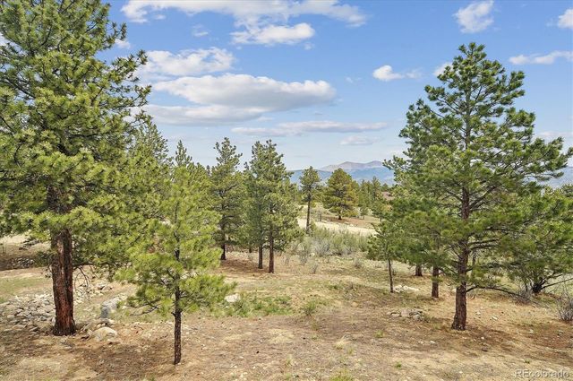 30460 Mountainside Drive, Buena Vista, CO 81211