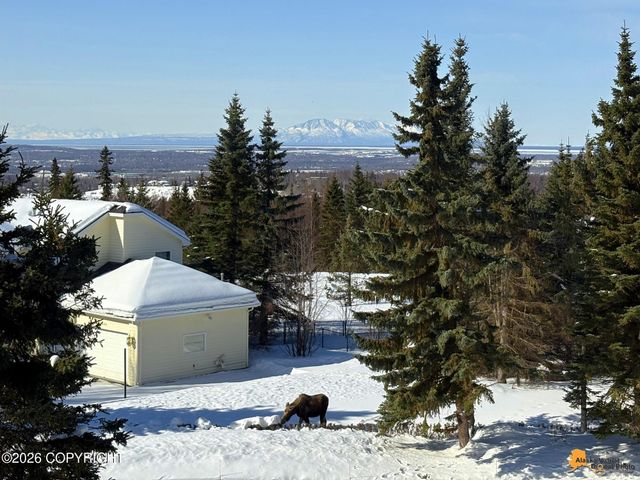 12210 Lilac Circle, Anchorage, AK 99516