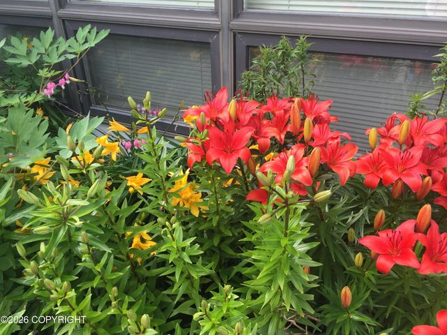 12210 Lilac Circle, Anchorage, AK 99516