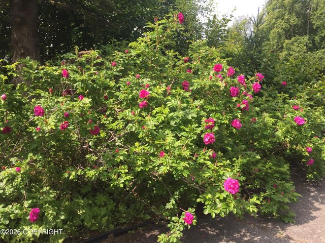 12210 Lilac Circle, Anchorage, AK 99516