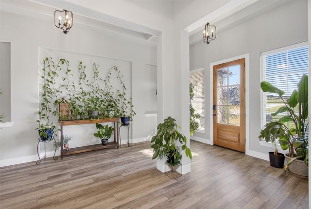 1204 Jungle Drive, Forney, TX 75126