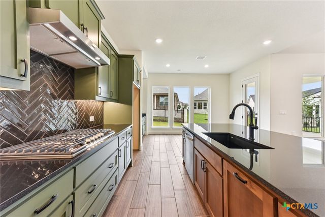 230 Olive Blossom Trail, San Marcos, TX 78666