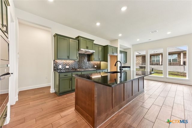 230 Olive Blossom Trail, San Marcos, TX 78666