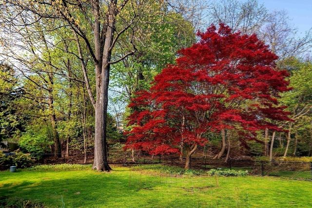 20 Rambler Rd, Boston, MA 02130