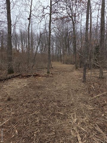 parcelA cullen Cullen Road, Hartland, MI 48353