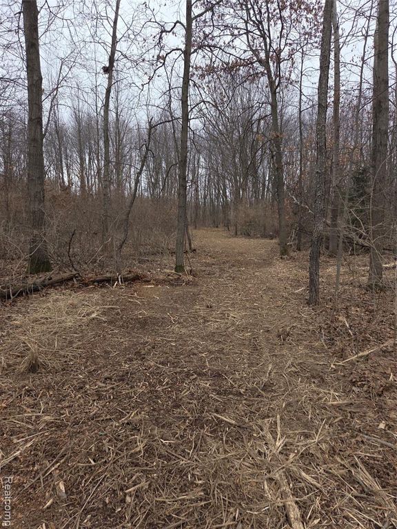 parcelA cullen Cullen Road, Hartland, MI 48353