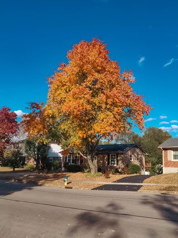 3516 Camelot Drive, Lexington, KY 40517