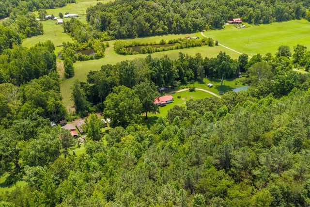 1227 Brushy Rd, Centerville, TN 37033