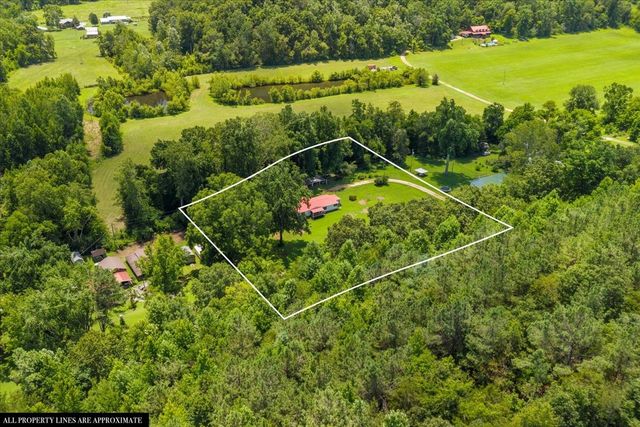 1227 Brushy Rd, Centerville, TN 37033