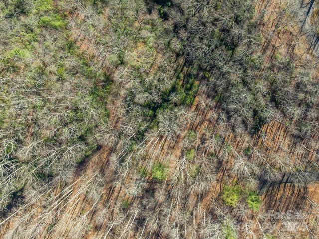 TBD Ladys Fern Trail 9, Laurel Park, NC 28739