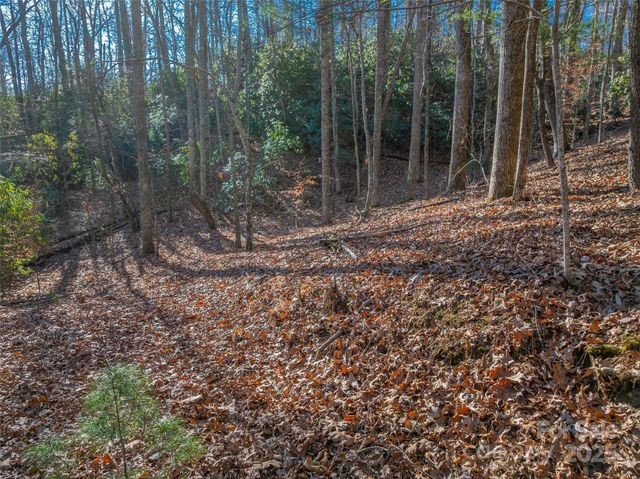 TBD Ladys Fern Trail 9, Laurel Park, NC 28739