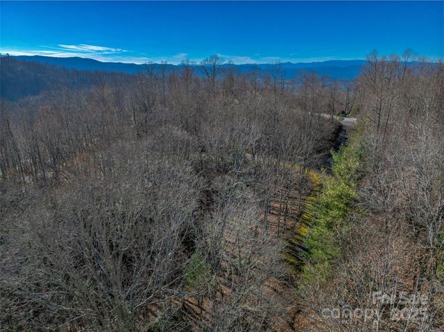 TBD Ladys Fern Trail 9, Laurel Park, NC 28739