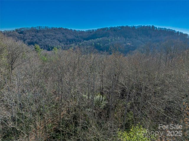 TBD Ladys Fern Trail 9, Laurel Park, NC 28739