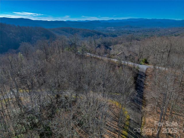 TBD Ladys Fern Trail 9, Laurel Park, NC 28739