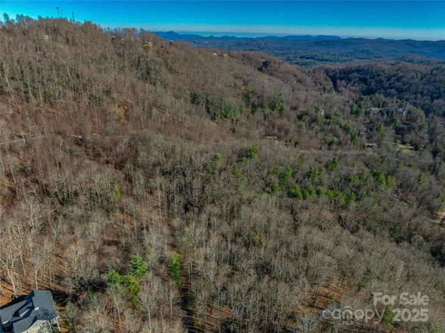 TBD Ladys Fern Trail 9, Laurel Park, NC 28739