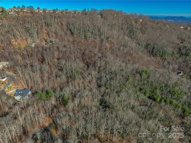 TBD Ladys Fern Trail 9, Laurel Park, NC 28739