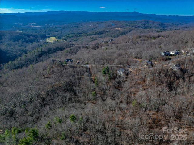 TBD Ladys Fern Trail 9, Laurel Park, NC 28739