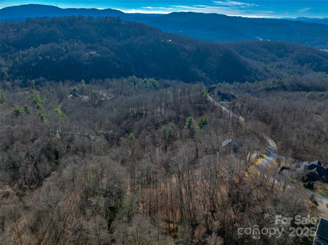 TBD Ladys Fern Trail 9, Laurel Park, NC 28739