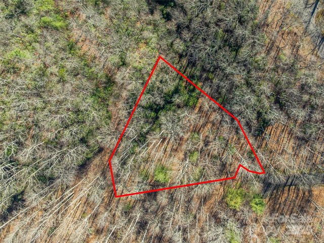 TBD Ladys Fern Trail 9, Laurel Park, NC 28739