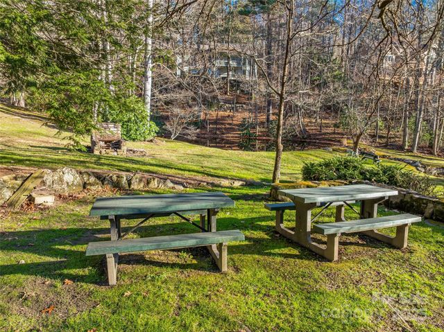 TBD Ladys Fern Trail 9, Laurel Park, NC 28739