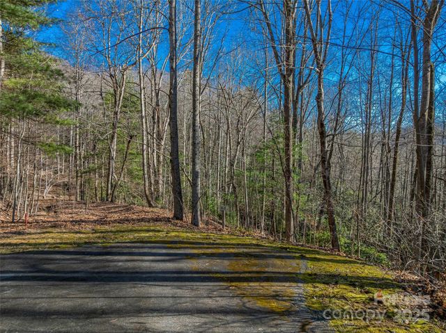 TBD Ladys Fern Trail 9, Laurel Park, NC 28739