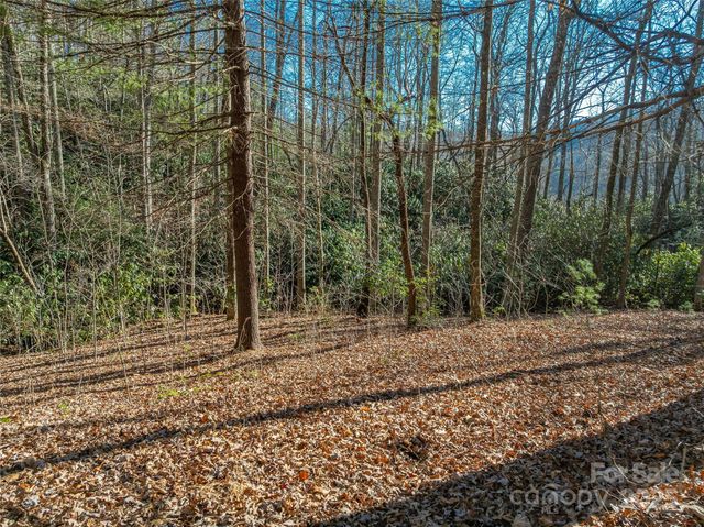 TBD Ladys Fern Trail 9, Laurel Park, NC 28739