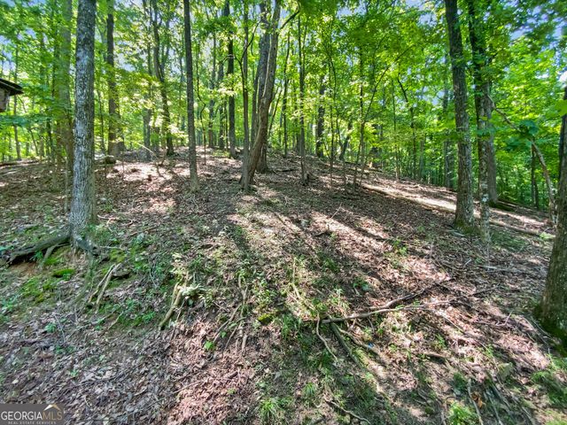 764 Chestnut Cove Trail, Jasper, GA 30143