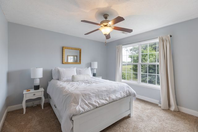 379 Misty Dr, Pleasant View, TN 37146