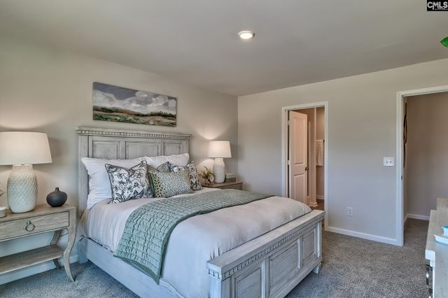 2325 Damascus Way, Lexington, SC 29073